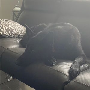 Meet your Posher, Doris